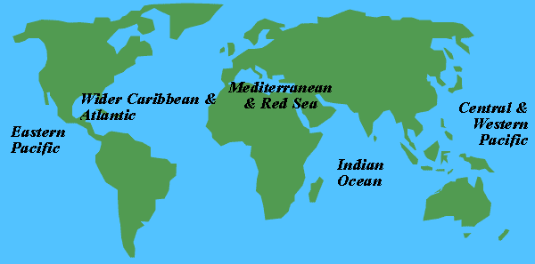 World Map Mediterranean Sea