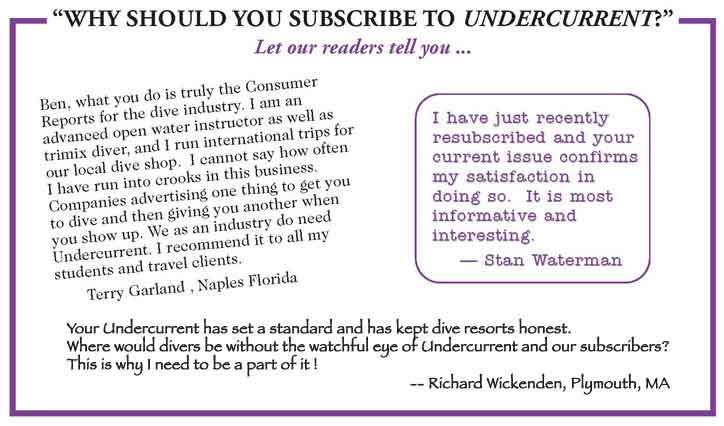 Undercurrent Testimonials