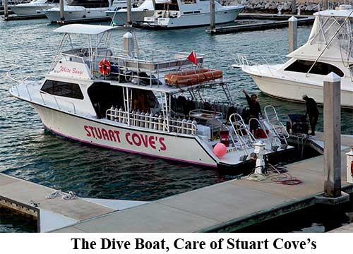 The Dive Boat, Care of Stuart Cove's