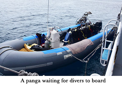 A panga waiting for divers to board