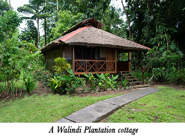 A Walindi Plantation cottage