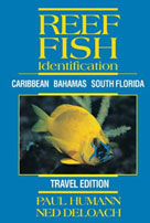 Travel Edition of Reef Fish Identification: Caribbean, Bahamas,
South Florida.