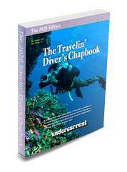 bonaire shore diving made easy pdf reader