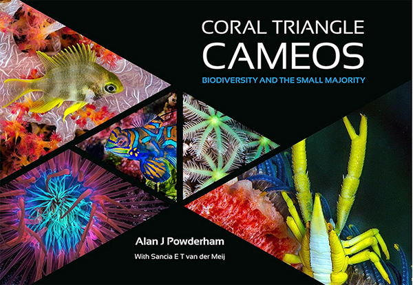 Coral Triangle Cameos -- Biodiversity and the Small Minority