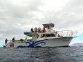 Maui Diamond Dive Boat