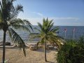 Condo Balcony View