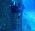 Wreck of the Witconcrete