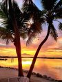 Coconut Palm Inn sunset