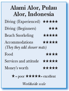 Alami Alor, Pulau Alor, Indonesia - Rating