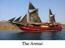 The Arenui