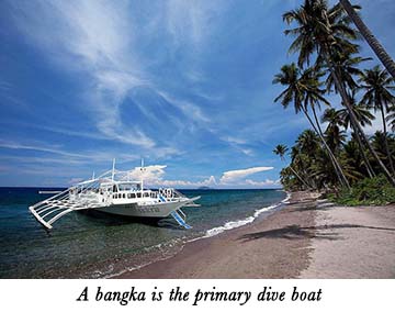 A bangka is the primary dive boat