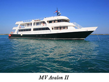 MV Avalon II