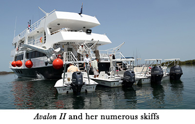 Avalon II and her numerous skiffs