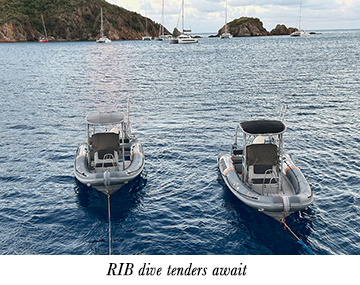 RIB dive tenders await