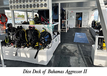 Dive Deck of Bahamas Aggressor II