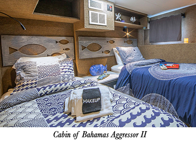 Twin Berth cabin of Bahamas Aggressor II