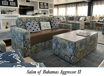 Salon of Bahamas Aggressor II