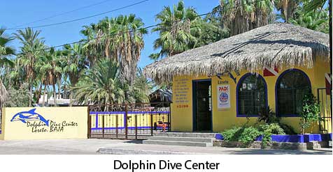 Dolphin Dive Center