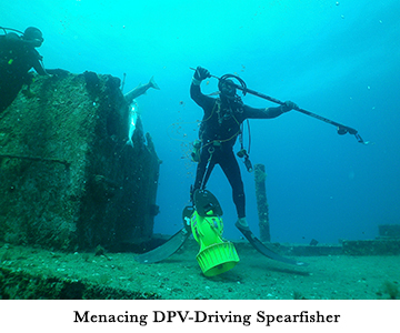 Menacing DPV-Driving Spearfisher