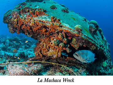 La Machaca Wreck