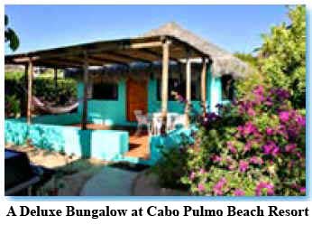A Deluxe Bungalow at Cabo Pulmo Beach Resort