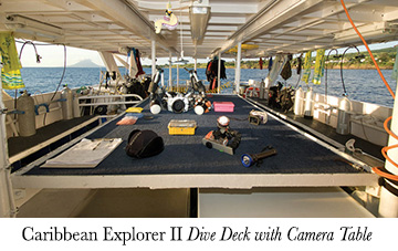 Caribbean Explorer II Dive Deck with Camera Table