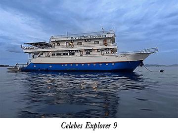 Celebes Explorer 9
