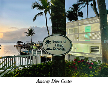 Amoray Dive Center