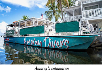 Amoray's catamaran