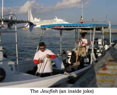 The Jewfish (an inside joke)