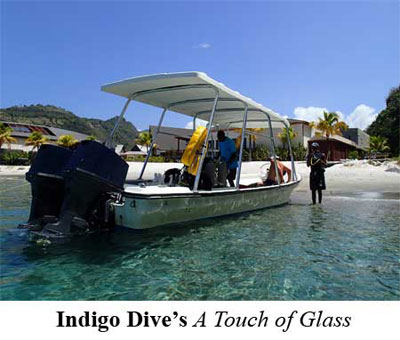 Indigo Dive's A Touch of Glass