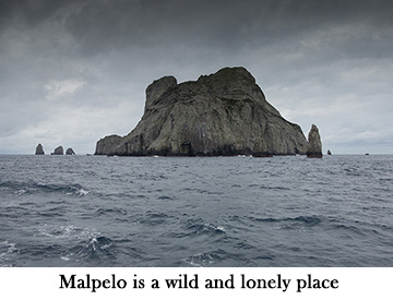 Malpelo is a wild and lonely place