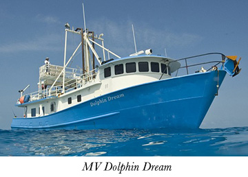 MV Dolphin Dream