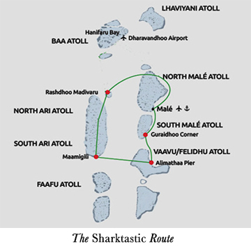 The Sharktastic Route