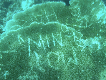 Vandalism on Coral Reefs