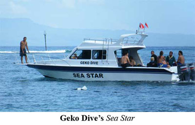 Geko Dive's Sea Star