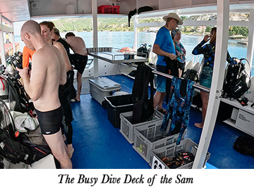 The Busy Dive Deck of the Sam