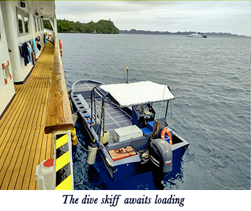 schoolThe
dive skiff awaits loading