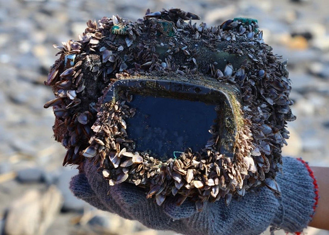 a barnacle-covered camera housing