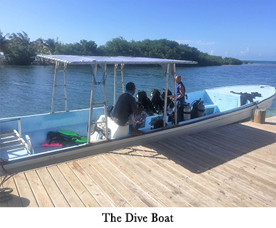 The Dive Boat