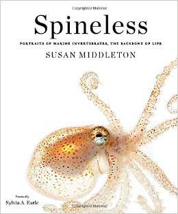 Spineless: A Spectacular Look