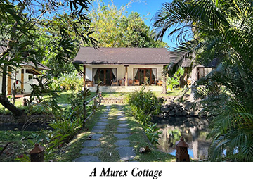 A Murex Cottage
