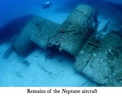 Remains of the Neptune aircraft