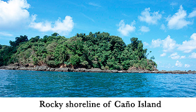 Rocky shoreline of Cao Island