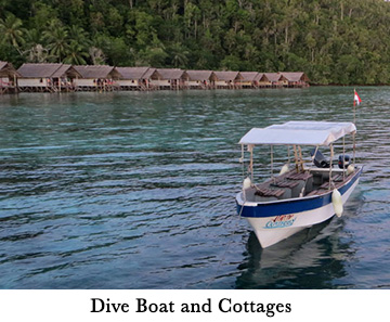 Dive Boat and Cottages