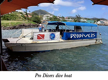 Pro Divers dive boat