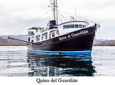 Quino del Guardin - Mexico liveaboard