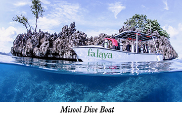 Misool Dive Boat