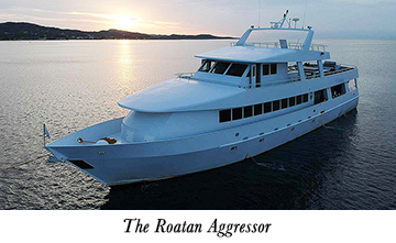 The Roatan Aggressor