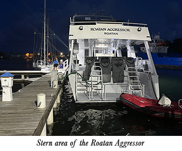 Stern area of the Roatan Aggressor